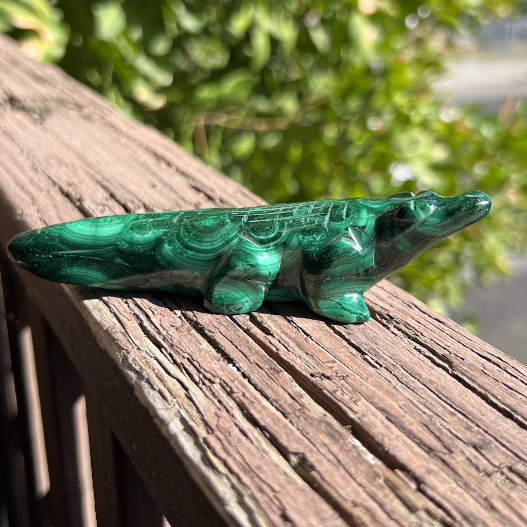 New 4.65" X 1.03" Malachite Alligator